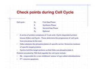 Check points during Cell Cycle
Cell cycle : G1 First Gap Phase
S Synthesis Phase
G2 Second Gap Phase
G0 Optional
• A series of protein complexes of 2 sub units :Cyclin dependent protein
kinase (Cdks) and Cyclin . These determine the progression of cell cycle
from one phase to the next.
• Cdks catalyzes the phosphorylation of specific serine / threonine residues
of specific target proteins
• Cyclins hold the target proteins so that Cdks can phosphorylate it.
Proteins encoded by TSG that regulate the cell cycle include :
• Rb – responsible for a rare childhood tumour of eye called retinoblastoma
• P53- ensures apoptosis.
 