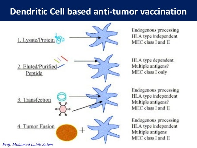 cancer vaccine ppt Human papillomavirus (hpv) and cancer ppt video online download.