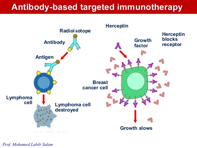 Nature Reviews Cancer Chemotherapy Nature Reviews Cancer Chemotherapy