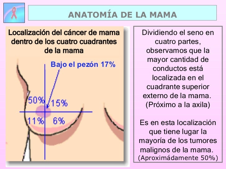 Artigo cancer de mama