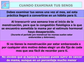 No olvides que  el hombre también  puede sufrir de cáncer de mama, aunque en un porcentaje mucho menor . Debes examinar tus senos una vez al mes, así esta práctica llegará a convertirse en un hábito para tí. Al transcurrir una semana tras el inicio de la menstruación, para que la congestión fisiológica a la que se encuentra sometida la mama por el estimulo hormonal haya desaparecido.  (Durante el período pre-menstrual las mamas suelen estar  endurecidas y dolorosas). Si no tienes la menstruación por estar embarazada o por cualquier otro motivo debes elegir un día fijo de cada mes que sea fácil de recordar para tí. CUANDO EXAMINAR TUS SENOS 