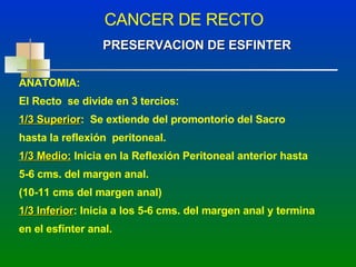 CANCER DE RECTO PRESERVACION DE ESFINTER ANATOMIA: El Recto  se divide en 3 tercios: 1/3 Superior :  Se extiende del promontorio del Sacro  hasta la reflexión  peritoneal. 1/3 Medio:  Inicia en la Reflexión Peritoneal anterior hasta  5-6 cms. del margen anal. (10-11 cms del margen anal) 1/3 Inferior : Inicia a los 5-6 cms. del margen anal y termina  en el esfínter anal. 