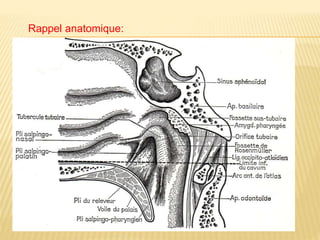 Rappel anatomique:
Le rhinopharynx appelé cavum ou
nasopharynx ou épipharynx est situé
sous la base du crâne, en arrière des
fosses nasales, au-dessus de l’oropharynx
et en avant des 2 premières vertèbres
cervicales. C’est un organe impair et médian.
 
