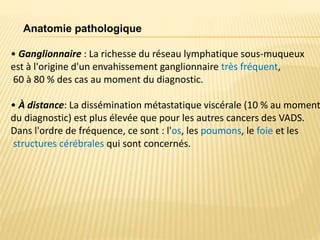• Ganglionnaire : La richesse du réseau lymphatique sous-muqueux
est à l'origine d'un envahissement ganglionnaire très fréquent,
60 à 80 % des cas au moment du diagnostic.
• À distance: La dissémination métastatique viscérale (10 % au moment
du diagnostic) est plus élevée que pour les autres cancers des VADS.
Dans l'ordre de fréquence, ce sont : l'os, les poumons, le foie et les
structures cérébrales qui sont concernés.
Anatomie pathologique
 