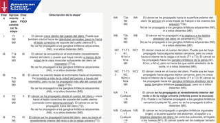 Etap
a
Agrupa
miento
para
estable
cer la
etapa
Etap
a
FIGO
Descripción de la etapa*
I T1
N0
M0
I El cáncer crece dentro del cuerpo del útero. Puede que
también crezca hacia las glándulas cervicales, pero no hacia
el tejido conectivo de soporte del cuello uterino(T1).
No se ha propagado a los ganglios linfáticos adyacentes
(N0), ni a sitios distantes (M0).
IA T1a
N0
M0
IA El cáncer se encuentra en el endometrio (revestimiento
interior del útero) y puede que haya crecido a menos de la
mitad de la capa muscular subyacente del útero (el
miometrio) (T1a).
No se ha propagado a los ganglios linfáticos adyacentes
(N0), ni a sitios distantes (M0).
IB
T1b
N0
M0
IB El cáncer ha crecido desde el endometrio hacia el miometrio.
Ha invadido a más de la mitad del camino a través del
miometrio, pero no se ha propagado más allá del cuerpo del
útero (T1b).
No se ha propagado a los ganglios linfáticos adyacentes
(N0), ni a sitios distantes (M0).
II T2
N0
M0
II El cáncer se ha propagado desde el cuerpo del útero y crece
hacia el tejido conectivo de soporte del cuello uterino
(conocido como estroma cervical). El cáncer no se ha
propagado fuera del útero (T2).
No se ha propagado a los ganglios linfáticos adyacentes
(N0), ni a sitios distantes (M0).
III T3
N0
III El cáncer se ha propagado fuera del útero, pero no hacia el
revestimiento interior del recto o de la vejiga urinaria (T3).
IIIA T3a
N0
M0
IIIA El cáncer se ha propagado hacia la superficie exterior del
útero (la serosa) y/o a las tropas de Falopio o los ovarios (los
anexos) (T3a).
No se ha propagado a los ganglios linfáticos adyacentes (N0),
ni a sitios distantes (M0).
IIIB T3b
N0
M0
IIIB El cáncer se ha propagado a la vagina o a los tejidos
alrededor del útero (el parametrio) (T3b).
No se ha propagado a los ganglios linfáticos adyacentes (N0),
ni a sitios distantes (M0).
IIIC
1
T1-T3
N1,
N1mi o
N1a
M0
IIIC1 El cáncer crece en el cuerpo del útero. Puede que se haya
propagado hacia algunos tejidos cercanos, pero no crece
hacia el interior de la vejiga o el recto (T1 a T3). El cáncer se
ha propagado hacia los ganglios linfáticos de la pelvis (N1,
N1mi, o N1a), pero no hacia los que están alrededor de la
aorta, ni a sitios distantes (M0).
IIIC
2
T1-T3
N2,
N2mi o
N2a
M0
IIIC2 El cáncer crece en el cuerpo del útero. Puede que se haya
propagado hacia algunos tejidos cercanos, pero no crece
hacia el interior de la vejiga o el recto (T1 a T3). El cáncer se
ha propagado hacia los ganglios linfáticos alrededor de la
aorta (ganglios linfáticos paraaórticos), pero no a sitios
distantes (M0).
IVA T4
Cualquie
r N
M0
El cáncer se ha propagado al revestimiento interior del
recto o de la vejiga urinaria (referida como la mucosa)
(T4). Puede o no haberse propagado a los ganglios linfáticos
cercanos (cualquier N), pero no se ha propagado a sitios
distantes (M0).
IVB Cualquie
r T
Cualquie
r N
IVB El cáncer se ha propagado a ganglios linfáticos inguinales
(ingle), a la parte superior del abdomen, al epiplón o a
órganos distantes del útero, tal como los pulmones, el hígado,
o los huesos (M1). El cáncer puede ser de cualquier tamaño
 