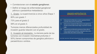 • Correlacionan con el estado ganglionar.
• Definir el riesgo de enfermedad ganglionar
pélvica o paraaórtica metastásica:
1. Grado. La supervivencia a cinco años Etapa 1
80% con grado 1
73% para el grado 2
58% en el grado 3.
Tumores menos diferenciados profundidad de
invasión guarda relación con el grado.
2. Invasión al miometrio. La tercera parte de los
tumores con invasión miometrial profunda (>
50%) tienen compromiso de ganglios pélvicos o
paraaórticos o ambos.
 