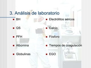 3. Análisis de laboratorio
 BH
 QS
 PFH
 Albúmina
 Globulinas
 Electrólitos séricos
 Calcio
 Fósforo
 Tiempos de coagulación
 EGO
 