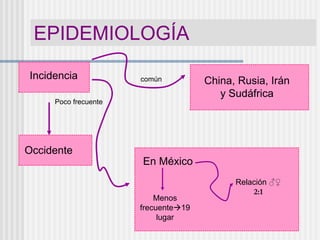 EPIDEMIOLOGÍA
Incidencia
Occidente
Poco frecuente
China, Rusia, Irán
y Sudáfrica
común
En México
Menos
frecuente19
lugar
Relación ♂♀
2:1
 