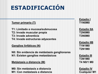 ESTADIFICACIÓN
Tumor primario (T)
T1: Limitado a mucosa/submucosa
T2: Invade muscular propia
T3: Invade adventicia
T4: Invade estructuras adyacentes
Ganglios linfáticos (N)
N0: Sin evidencia de metástasis ganglionares
N1: Existen ganglios metastásicos
Metástasis a distancia (M)
M0: Sin metástasis a distancia
M1: Con metástasis a distancia
Estadío I
T1N0M0
Estadío IIA
T2N0M0
T3N0M0
Estadío IIB
T1N1M0
T2N1M0
Estadío III
T3N1M0
T4 N0/1 M0
Estadío IV
Cualquier M1
 