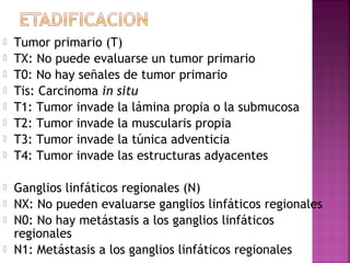  Tumor primario (T) 
 TX: No puede evaluarse un tumor primario 
 T0: No hay señales de tumor primario 
 Tis: Carcinoma in situ 
 T1: Tumor invade la lámina propia o la submucosa 
 T2: Tumor invade la muscularis propia 
 T3: Tumor invade la túnica adventicia 
 T4: Tumor invade las estructuras adyacentes 
 Ganglios linfáticos regionales (N) 
 NX: No pueden evaluarse ganglios linfáticos regionales 
 N0: No hay metástasis a los ganglios linfáticos 
regionales 
 N1: Metástasis a los ganglios linfáticos regionales 
 