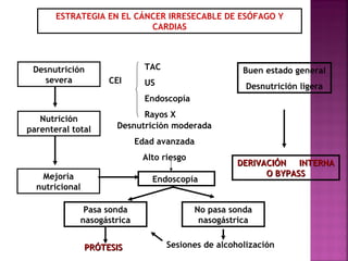 ESTRATEGIA EN EL CÁNCER IRRESECABLE DE ESÓFAGO Y 
CEI 
CARDIAS 
TAC 
US 
Endoscopía 
Rayos X 
Desnutrición moderada 
PPRRÓÓTTEESSIISS 
DDEERRIIVVAACCIIÓÓNN IINNTTEERRNNAA 
OO BBYYPPAASSSS 
Desnutrición 
severa 
Nutrición 
parenteral total 
Mejoría 
nutricional 
Pasa sonda 
nasogástrica 
Endoscopía 
No pasa sonda 
nasogástrica 
Edad avanzada 
Alto riesgo 
Buen estado general 
Desnutrición ligera 
Sesiones de alcoholización 
 