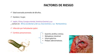 FACTORES DE RIESGO.
 Edad avanzada promedio de 68 años.
 Hombre / mujer.
 Japón, China, Europa oriental, América Central y sur.
_ común en: África occidental y del sur, Asia Central y sur, Norteamérica.
 Infección por helicobacter pylori.
 Cambios precancerosos.
• Gastritis atrófica crónica.
• Metaplasia intestinal.
• Ulcera gástrica.
• Polipos adenomatosos.
 .
 