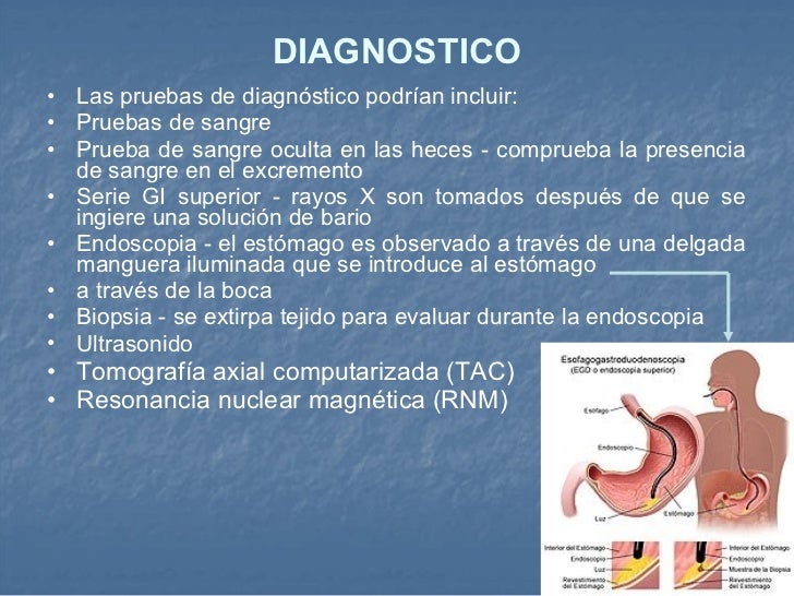 pdf pdf linguistics encyclopedia
