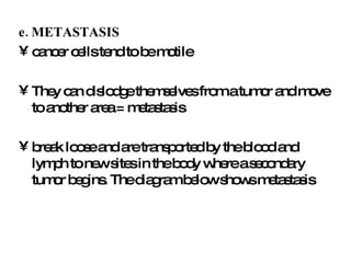 Cancer Metastasis Notes.pdf Cancer notes | PPT