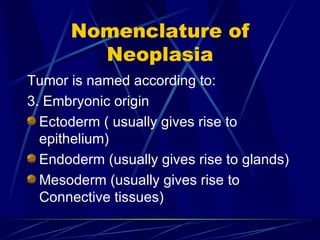 Nomenclature of Neoplasia Tumor is named according to: 3. Embryonic origin Ectoderm ( usually gives rise to epithelium) Endoderm (usually gives rise to glands) Mesoderm (usually gives rise to Connective tissues) 