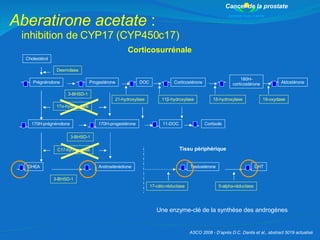 Aberatirone acetate  :  inhibition de CYP17 (CYP450c17) Corticosurrénale Une enzyme-clé de la synthèse des androgènes  Can...