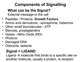 Components of Signalling What can be the Signal? External message to the cell Peptides / Proteins-  Growth Factors Amino acid derivatives - epinephrine, histamine Other small biomolecules - ATP Steroids, prostaglandins Gases - Nitric Oxide (NO) Photons Damaged DNA Odorants, tastants Signal = LIGAND Ligand- A molecule that binds to a specific site on  another molecule, usually a protein, ie receptor 
