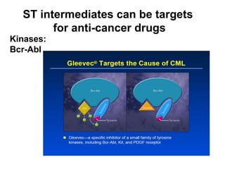 ST intermediates can be targets  for anti-cancer drugs Kinases: Bcr-Abl 