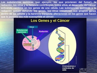 Las substancias químicas (por ejemplo, las que provienen del fumar), la radiación, los virus y la herencia contribuyen, todos ellos, al desarrollo del cáncer activando cambios en los genes de una célula. Las substancias químicas y la radiación actúan dañando los genes, los virus introducen sus propios genes dentro de las células y la herencia transmite alteraciones en los genes que hacen que la persona sea más susceptible al cáncer.  