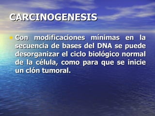 CARCINOGENESIS Con modificaciones mínimas en la secuencia de bases del DNA se puede desorganizar el ciclo biológico normal de la célula, como para que se inicie un clón tumoral. 
