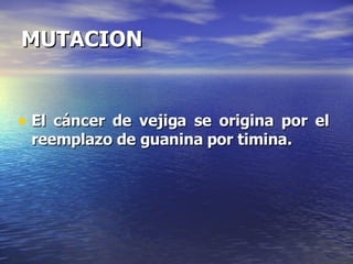 MUTACION El cáncer de vejiga se origina por el reemplazo de guanina por timina. 