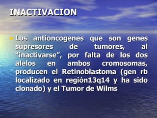 INACTIVACION Los antioncogenes que son genes supresores de tumores, al “inactivarse”, por falta de los dos alelos en ambos cromosomas, producen el Retinoblastoma (gen rb localizado en región13q14 y ha sido clonado) y el Tumor de Wilms  