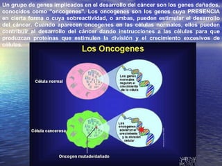 Un grupo de genes implicados en el desarrollo del cáncer son los genes dañados, conocidos como "oncogenes". Los oncogenes son los genes cuya PRESENCIA en cierta forma o cuya sobreactividad, o ambas, pueden estimular el desarrollo del cáncer. Cuando aparecen oncogenes en las células normales, ellos pueden contribuir al desarrollo del cáncer dando instrucciones a las células para que produzcan proteínas que estimulen la división y el crecimiento excesivos de células.  