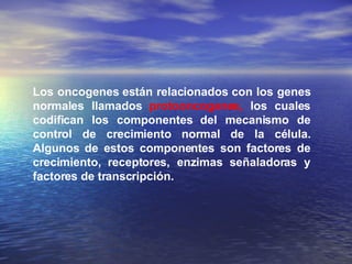 Los oncogenes están relacionados con los genes normales llamados  protooncogenes,  los cuales codifican los componentes del mecanismo de control de crecimiento normal de la célula. Algunos de estos componentes son factores de crecimiento, receptores, enzimas señaladoras y factores de transcripción.  