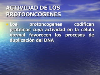 ACTIVIDAD DE LOS PROTOONCOGENES Los protoncogenes codifican proteinas cuya actividad en la célula normal favorecen los procesos de duplicación del DNA 
