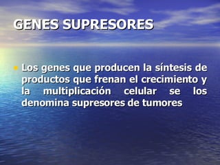 GENES SUPRESORES Los genes que producen la síntesis de productos que frenan el crecimiento y la multiplicación celular se los denomina supresores de tumores 