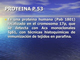 PROTEINA P 53 Es una proteina humana (Pab 1801) localizado en el cromosoma 17p, que se detecta con Acs monoclonales Ig61, con técnicas histoquimicas de inmunización de tejidos en parafina. 