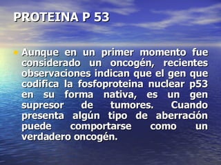 PROTEINA P 53 Aunque en un primer momento fue considerado un oncogén, recientes observaciones indican que el gen que codifica la fosfoproteina nuclear p53 en su forma nativa, es un gen supresor de tumores. Cuando presenta algún tipo de aberración puede comportarse como un verdadero oncogén. 