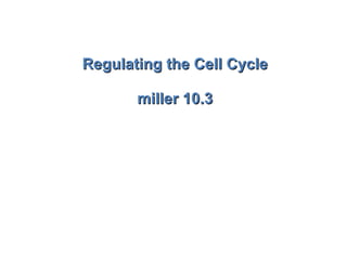 Regulating the Cell Cycle miller 10.3 
