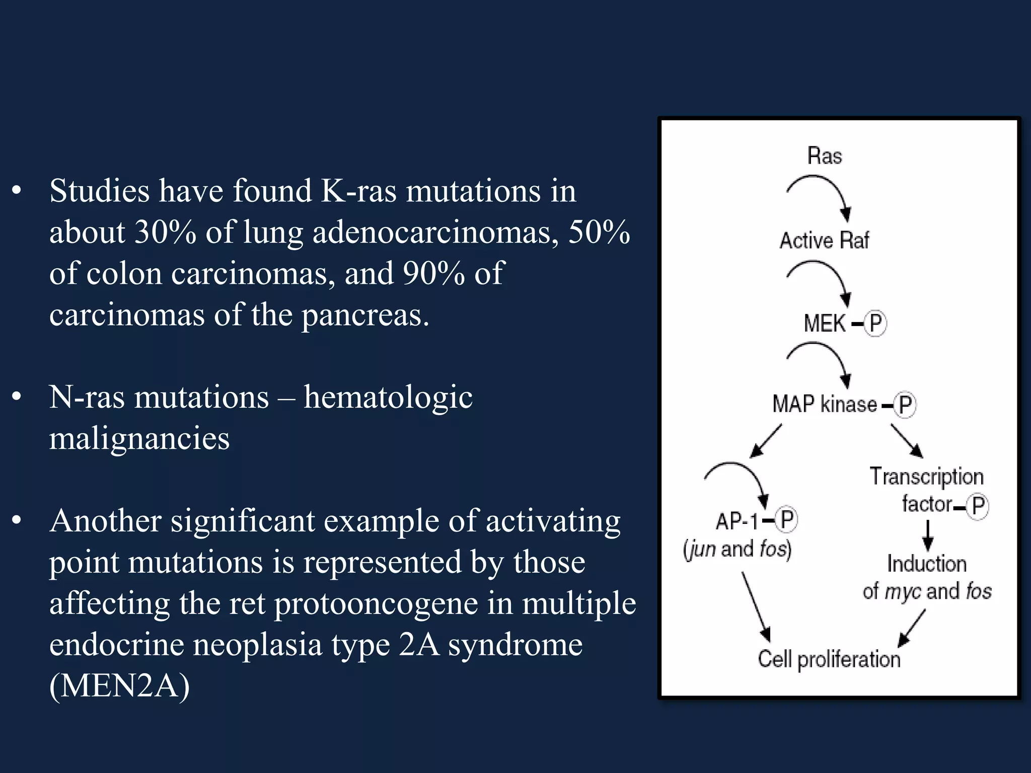 • Studies have found K-ras mutations in
about 30% of lung adenocarcinomas, 50%
of colon carcinomas, and 90% of
carcinomas of the pancreas.
• N-ras mutations – hematologic
malignancies
• Another significant example of activating
point mutations is represented by those
affecting the ret protooncogene in multiple
endocrine neoplasia type 2A syndrome
(MEN2A)
 