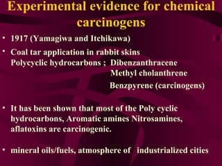 Experimental evidence for chemical carcinogens 1917 (Yamagiwa and Itchikawa)  Coal tar application in rabbit skins   Polycyclic hydrocarbons ;  Dibenzanthracene    Methyl cholanthrene Benzpyrene (carcinogens) It has been shown that most of the Poly cyclic hydrocarbons, Aromatic amines Nitrosamines, aflatoxins are carcinogenic.    mineral oils/fuels, atmosphere of  industrialized cities  
