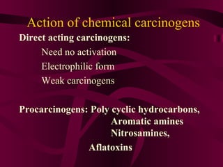 Action of chemical carcinogens Direct acting carcinogens: Need no activation Electrophilic form Weak carcinogens  Procarcinogens: Poly cyclic hydrocarbons,    Aromatic amines    Nitrosamines,  Aflatoxins 