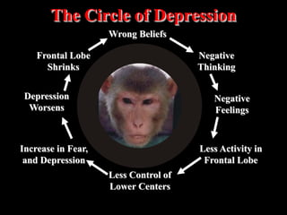 The Circle of Depression 
Wrong Beliefs 
Negative 
Thinking 
Negative 
Feelings 
Less Activity in 
Frontal Lobe 
Less Control of 
Lower Centers 
Frontal Lobe 
Shrinks 
Depression 
Worsens 
Increase in Fear, 
and Depression 
 