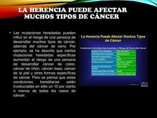 LA HERENCIA PUEDE AFECTAR 
MUCHOS TIPOS DE CÁNCER 
• Las mutaciones heredadas pueden 
influir en el riesgo de una persona de 
desarrollar muchos tipos de cáncer, 
además del cáncer de seno. Por 
ejemplo, se ha descrito que ciertas 
mutaciones heredadas específicas 
aumentan el riesgo de una persona 
de desarrollar cáncer de colon, 
cáncer de riñón, cáncer óseo, cáncer 
de la piel y otras formas específicas 
de cáncer. Pero se piensa que estas 
condiciones hereditarias están 
involucradas en sólo un 10 por ciento 
ó menos de todos los casos de 
cáncer. 
 