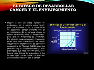 EL RIESGO DE DESARROLLAR 
CÁNCER Y EL ENVEJECIMIENTO 
• Debido a que un cierto número de 
mutaciones por lo general debe ocurrir 
para que el cáncer ocurra, la probabilidad 
de desarrollar cáncer aumenta con el 
envejecimiento de la persona, debido a 
que ha estado disponible un tiempo mayor 
para que las mutaciones se acumulen. 
Por ejemplo, una persona de 75 años de 
edad tiene una probabilidad cien veces 
mayor de desarrollar cáncer de colon que 
una persona de 25 años. Debido a que las 
personas hoy en día viven un tiempo más 
prolongado que hace 50 ó 100 años, ellas 
tienen más tiempo de exposición a los 
factores que pueden iniciar los cambios 
genéticos relacionados con el cáncer. 
 
