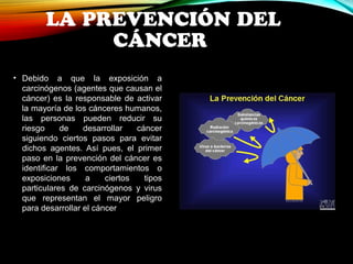 LA PREVENCIÓN DEL 
CÁNCER 
• Debido a que la exposición a 
carcinógenos (agentes que causan el 
cáncer) es la responsable de activar 
la mayoría de los cánceres humanos, 
las personas pueden reducir su 
riesgo de desarrollar cáncer 
siguiendo ciertos pasos para evitar 
dichos agentes. Así pues, el primer 
paso en la prevención del cáncer es 
identificar los comportamientos o 
exposiciones a ciertos tipos 
particulares de carcinógenos y virus 
que representan el mayor peligro 
para desarrollar el cáncer 
 