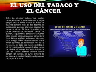 EL USO DEL TABACO Y 
EL CÁNCER 
• Entre los diversos factores que pueden 
causar el cáncer, el fumar tabaco es el mayor 
peligro para la salud pública. El humo de 
cigarrillo contiene más de dos docenas de 
substancias químicas diferentes capaces de 
causar el cáncer. El fumar cigarrillos es la 
causa principal de desarrollar cáncer de 
pulmón, e igualmente, contribuye a muchos 
otros tipos de cáncer, incluyendo cáncer de la 
boca, laringe, esófago, estómago, páncreas, 
riñón y vejiga. Datos recientes indican que el 
fumar cigarrillos es responsable de por lo 
menos una de cada tres muertes debidas al 
cáncer, haciéndolo la causa individual mayor 
de muerte por cáncer. Las otras formas de 
uso del tabaco también pueden causar 
cáncer. Por ejemplo, los puros, el humo de 
las pipas y el masticar tabaco pueden causar 
cánceres de la boca. 
 