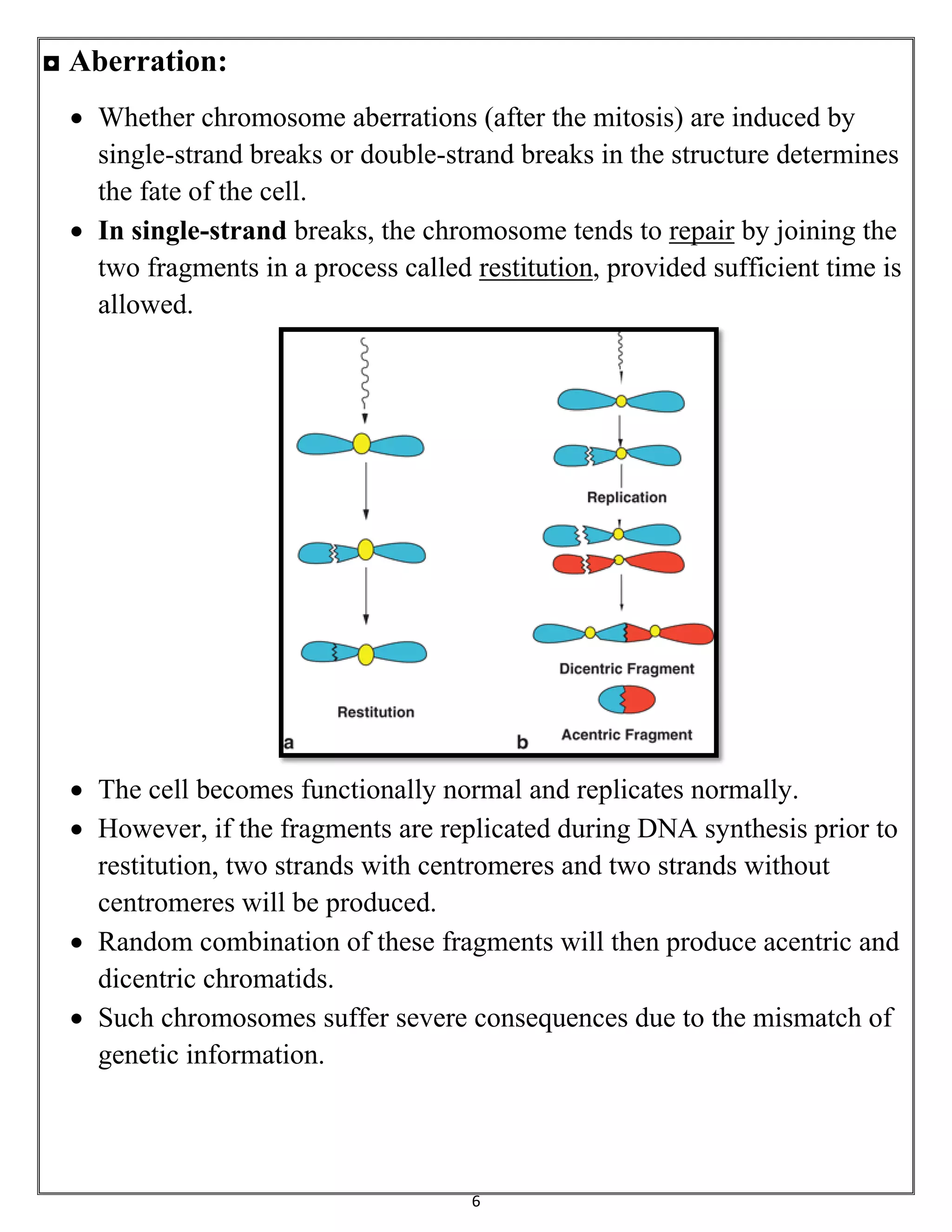 6
◘ Aberration:
 Whether chromosome aberrations (after the mitosis) are induced by
single-strand breaks or double-strand breaks in the structure determines
the fate of the cell.
 In single-strand breaks, the chromosome tends to repair by joining the
two fragments in a process called restitution, provided sufficient time is
allowed.
 The cell becomes functionally normal and replicates normally.
 However, if the fragments are replicated during DNA synthesis prior to
restitution, two strands with centromeres and two strands without
centromeres will be produced.
 Random combination of these fragments will then produce acentric and
dicentric chromatids.
 Such chromosomes suffer severe consequences due to the mismatch of
genetic information.
 