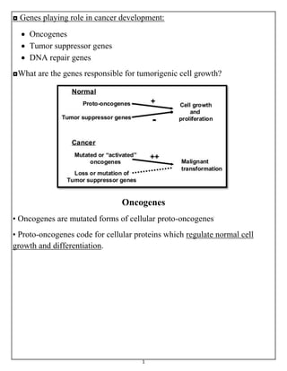1
◘ Genes playing role in cancer development:
 Oncogenes
 Tumor suppressor genes
 DNA repair genes
◘What are the genes responsible for tumorigenic cell growth?
Oncogenes
• Oncogenes are mutated forms of cellular proto-oncogenes
• Proto-oncogenes code for cellular proteins which regulate normal cell
growth and differentiation.
 