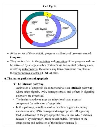 5
Cell Cycle
 At the center of the apoptotic program is a family of proteases named
Caspases.
 They are involved in the initiation and execution of the program and can
be activated by a large number of stimuli via two central pathways, one
involving mitochondria, the other using trans-membrane receptors of
the tumor necrosis factor α (TNF α) class.
♣ The major pathways of apoptosis
The intrinsic pathway:
- Activation of apoptosis via mitochondria is an intrinsic pathway
where stress signals, DNA damage signals, and defects in signaling
pathways are processed.
- The intrinsic pathway uses the mitochondria as a central
component for activation of apoptosis.
- In this pathway, a multitude of intracellular signals including
various stresses, DNA damage and inappropriate cell signaling
lead to activation of the pro-apoptotic protein Bax which induces
release of cytochrome C from mitochondria, formation of the
apoptosome and activation of the initiator caspase 9.
 