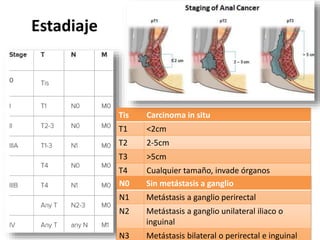 Estadiaje
Tis Carcinoma in situ
T1 <2cm
T2 2-5cm
T3 >5cm
T4 Cualquier tamaño, invade órganos
adyacentes.N0 Sin metástasis a ganglio
N1 Metástasis a ganglio perirectal
N2 Metástasis a ganglio unilateral iliaco o
inguinal
N3 Metástasis bilateral o perirectal e inguinal
 