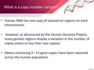 What is a copy number variant?
• Human DNA has one copy of autosomal regions on each
chromosome.
• However, as discovered by the Human Genome Project,
many genetic regions display a variation in the number of
copies (more or less than two copies).
• Alleles containing 0 –13 gene copies have been reported
across the human population.
 