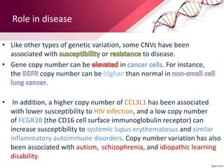 Role in disease
• Like other types of genetic variation, some CNVs have been
associated with or to disease.
• Gene copy number can be in cancer cells. For instance,
the copy number can be than normal in
.
• In addition, a higher copy number of CCL3L1 has been associated
with lower susceptibility to HIV infection, and a low copy number
of FCGR3B (the CD16 cell surface immunoglobulin receptor) can
increase susceptibility to systemic lupus erythematosus and similar
inflammatory autoimmune disorders. Copy number variation has also
been associated with autism, schizophrenia, and idiopathic learning
disability.
 