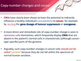 Copy-number changes and cancer
• CNVs have clearly been shown to have the potential to indirectly
inﬂuence a healthy individual’s susceptibility to , for example
by the or .
• A more direct and immediate role of copy-number change is seen in
cancerous cells themselves, which frequently display CNVs that are
absent in the patient’s normal cells in characteristic (although cancer-
type speciﬁc) parts of the genome.
• Arguably, such copy-number changes in cancer cells should not be
called ‘variants’ because they do not fall within the spectrum of
normal human variation.
 
