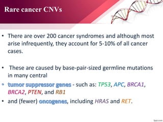 Rare cancer CNVs
• There are over 200 cancer syndromes and although most
arise infrequently, they account for 5-10% of all cancer
cases.
• These are caused by base-pair-sized germline mutations
in many central
- such as: TP53, APC, BRCA1,
BRCA2, PTEN, and RB1
• and (fewer) , including HRAS and RET.
 