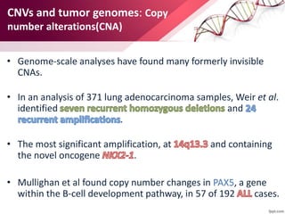 CNVs and tumor genomes: Copy
number alterations(CNA)
• Genome-scale analyses have found many formerly invisible
CNAs.
• In an analysis of 371 lung adenocarcinoma samples, Weir et al.
identified and
.
• The most significant amplification, at and containing
the novel oncogene .
• Mullighan et al found copy number changes in PAX5, a gene
within the B-cell development pathway, in 57 of 192 cases.
 